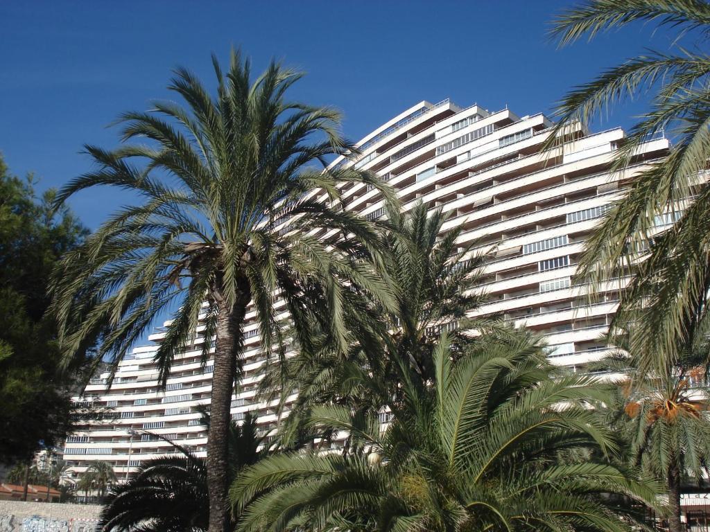 Apartamentos Florazar II Ajhory Cullera Exterior photo